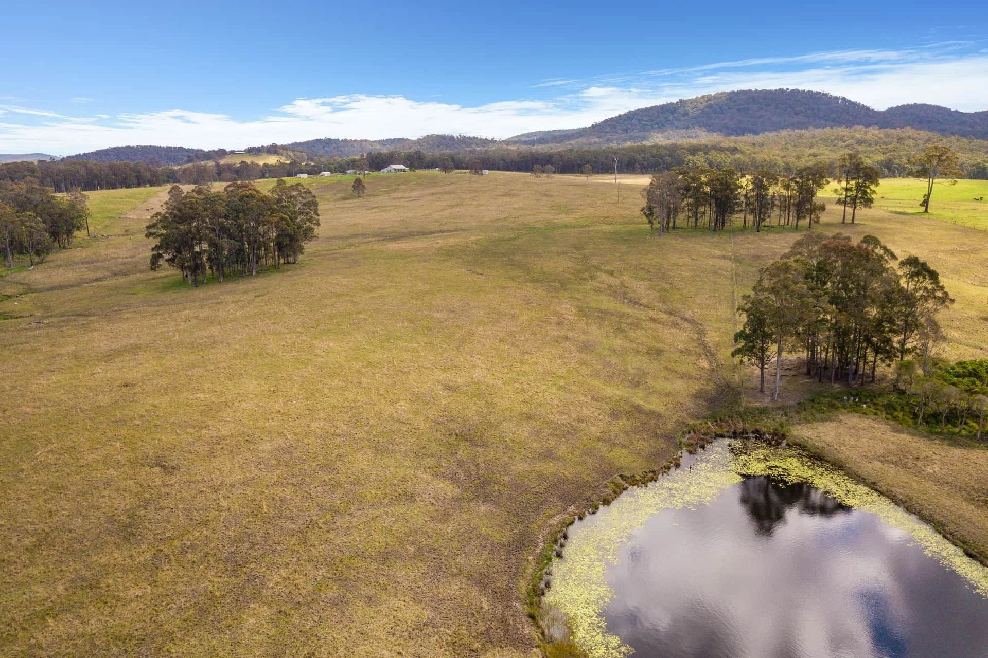 Golden-hour view across the paddocks to the homestead at Carinya Parc