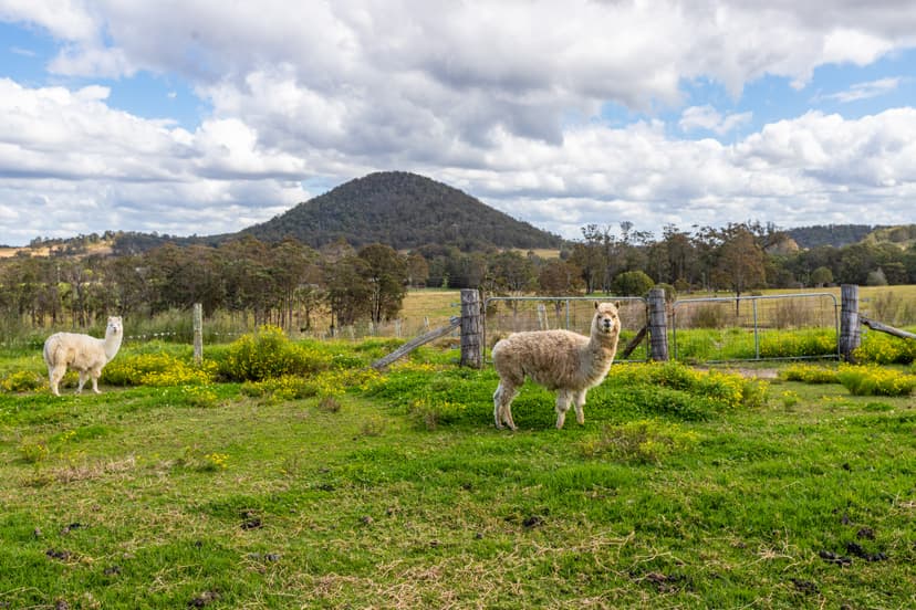 Farm landscape