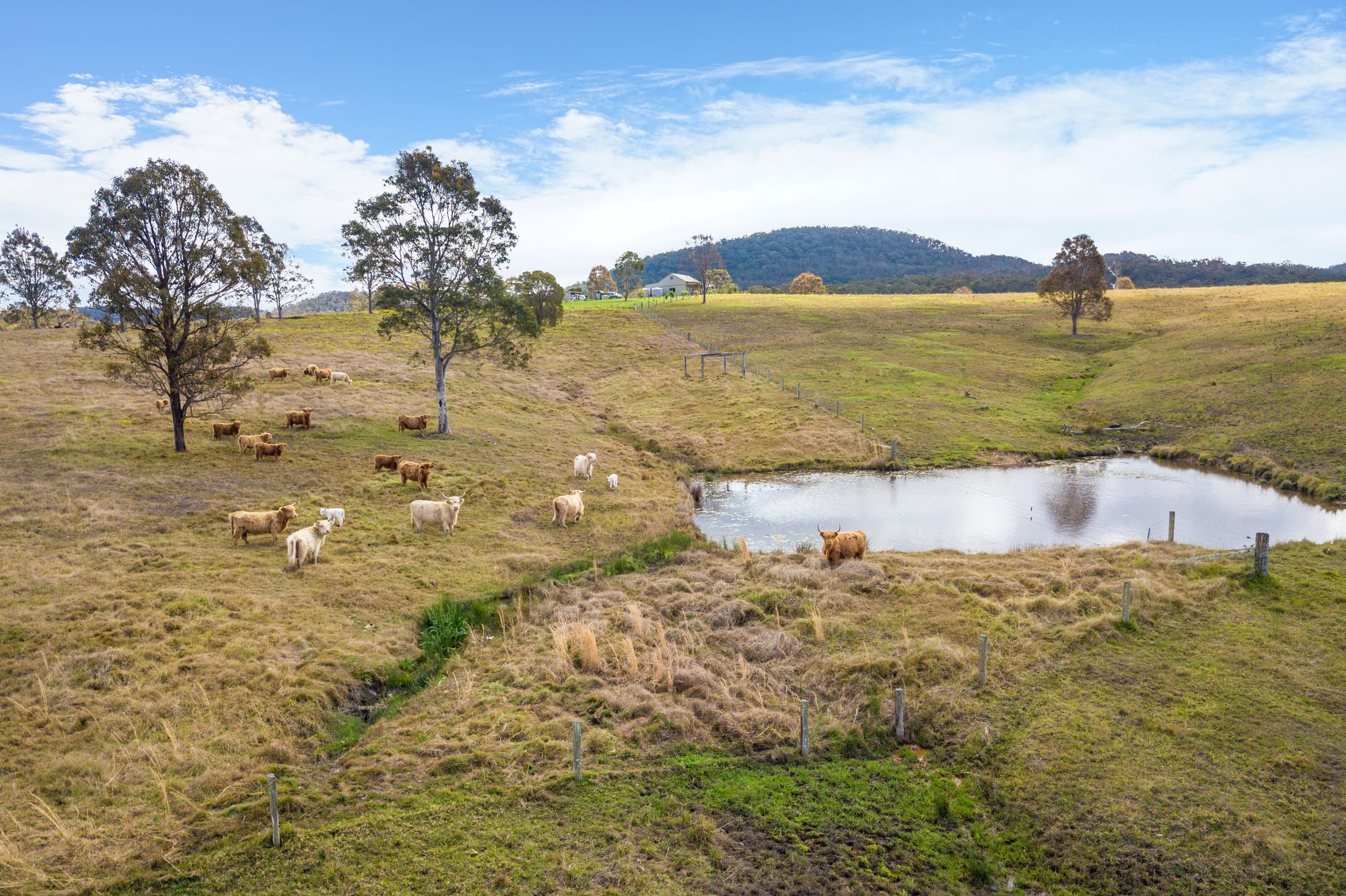 Designing Polyculture Systems for Australian Conditions